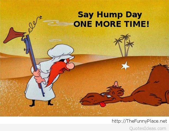 happy hump day funny quotes - elen z Say Hump Day One More Time! QuotesIdeas.com