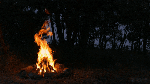 forest campfire gif