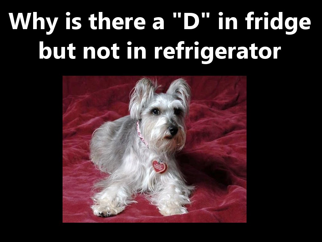 photo caption - Why is there a "D" in fridge but not in refrigerator