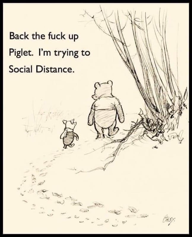 winnie the pooh social distancing - Back the fuck up Piglet. I'm trying to Social Distance.