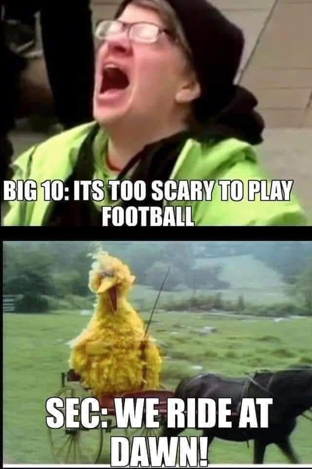 big bird we ride at dawn meme - Big 10 Its Too Scary To Play Football Sec We Ride At Dawn!