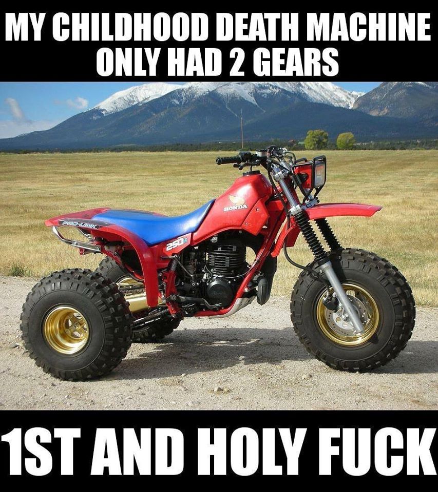 motorcycle - My Childhood Death Machine Only Had 2 Gears Honda Lar 250 1ST And Holy Fuck