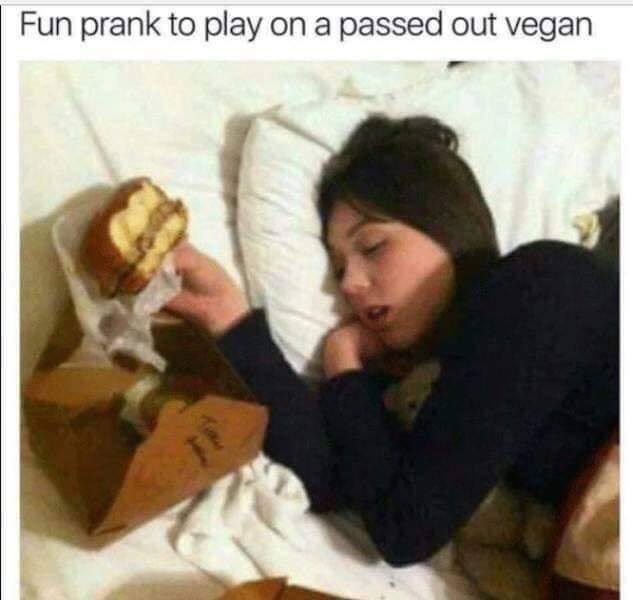vegan pranks - Fun prank to play on a passed out vegan