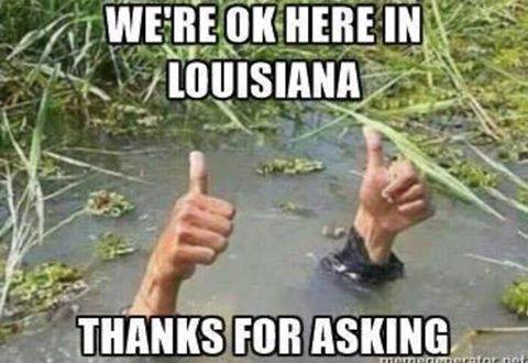 underwater meme - We'Re Ok Here In Louisiana Thanks For Asking Totte rotor not