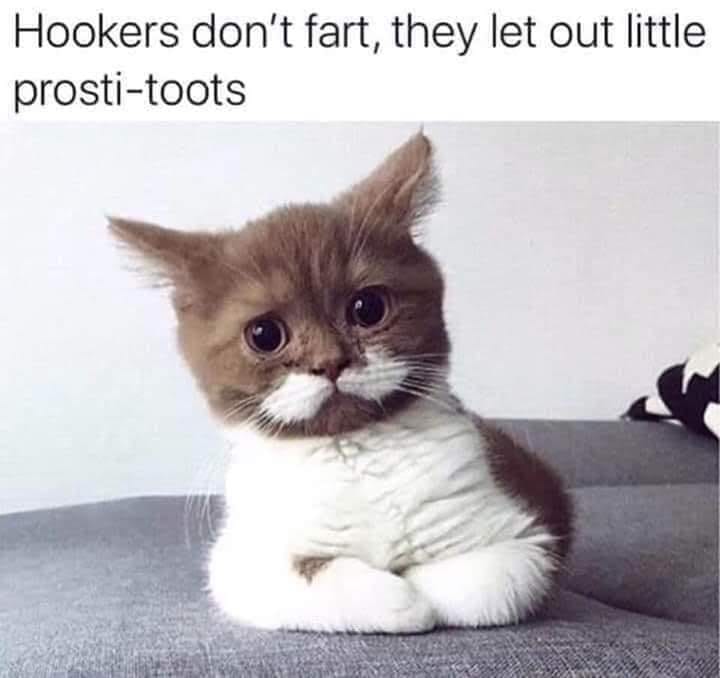 hookers don t fart - Hookers don't fart, they let out little prostitoots