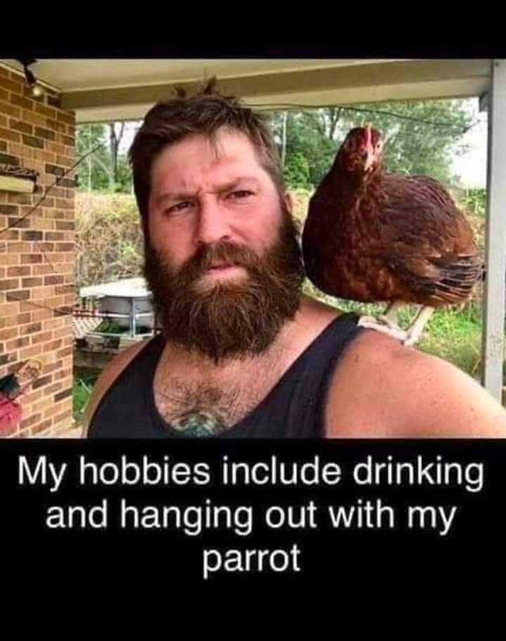 hobbies meme - My hobbies include drinking and hanging out with my parrot