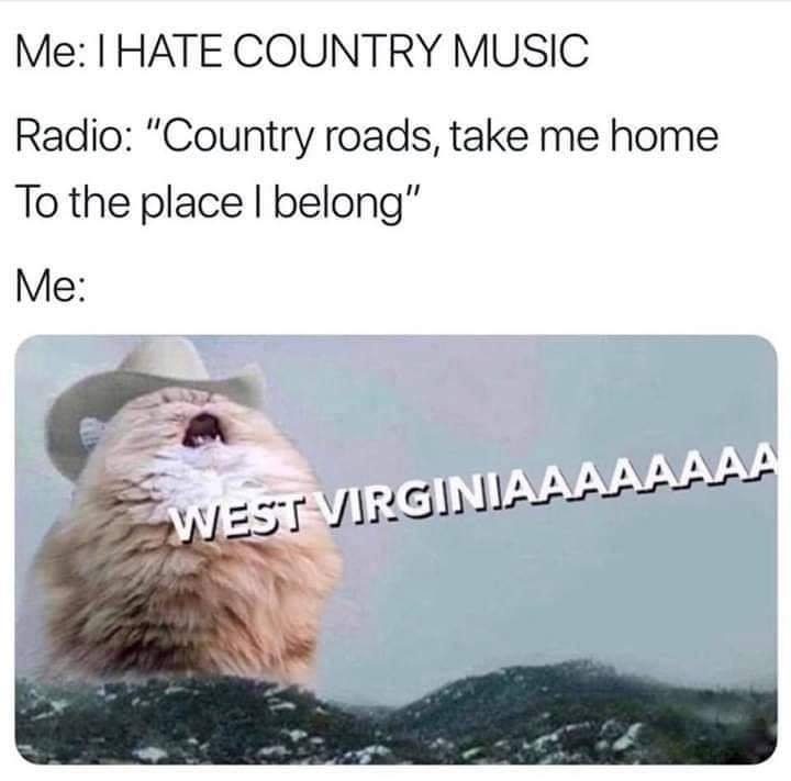 hate country music meme - Me I Hate Country Music Radio "Country roads, take me home To the place I belong" Me West Virginiaaaaaaaa