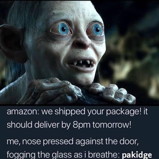 amazon we shipped your package! it should deliver by 8pm tomorrow! me, nose pressed against the door, fogging the glass as i breathe pakidge