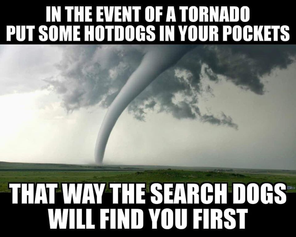 tornado in maine - In The Event Of A Tornado Put Some Hotdogs In Your Pockets That Way The Search Dogs Will Find You First