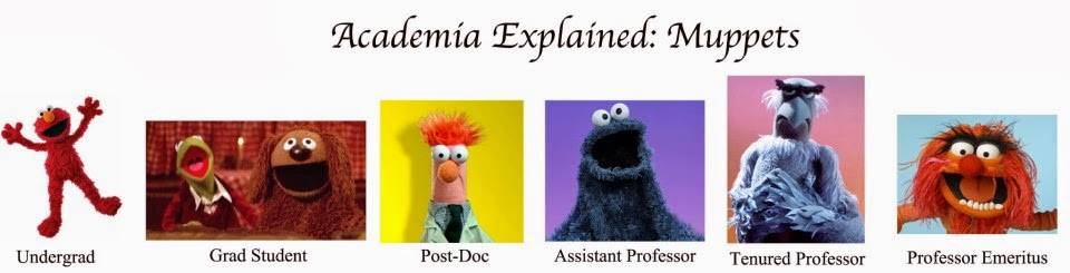 academia explained muppets - Academia Explained Muppets K Undergrad Grad Student PostDoc Assistant Professor Tenured Professor Professor Emeritus
