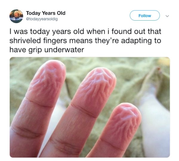 post nut clarity meme - Today Years Old I was today years old when i found out that shriveled fingers means they're adapting to have grip underwater