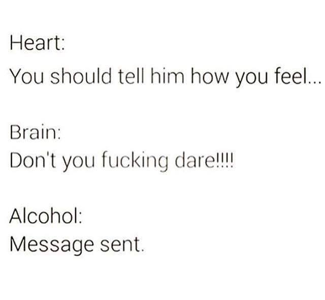 angle - Heart You should tell him how you feel... Brain Don't you fucking dare!!!! Alcohol Message sent