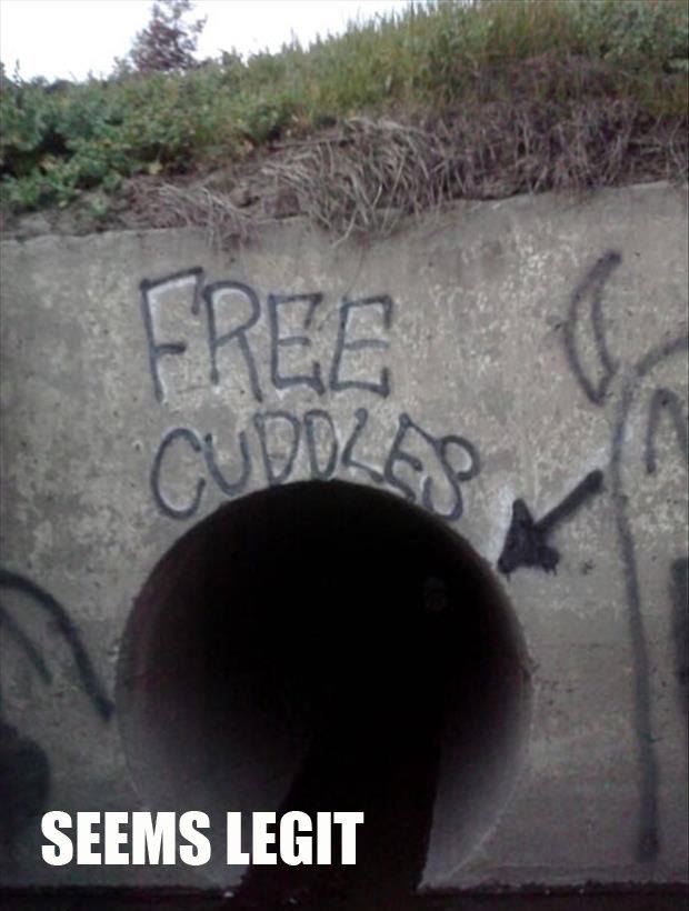 free cuddles - Free Seems Legit