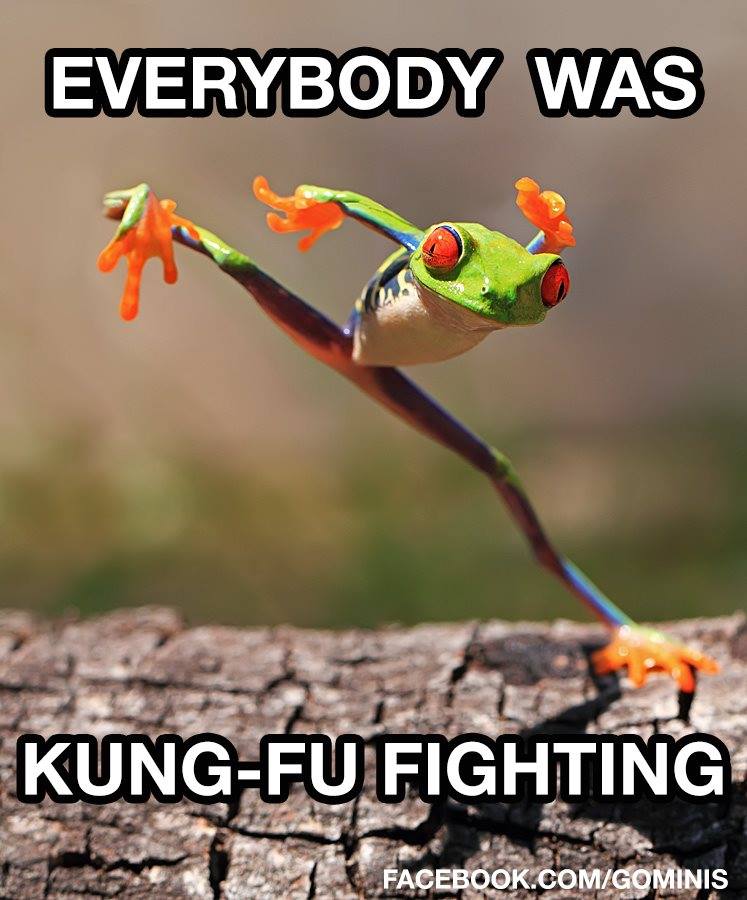 kungfu frog