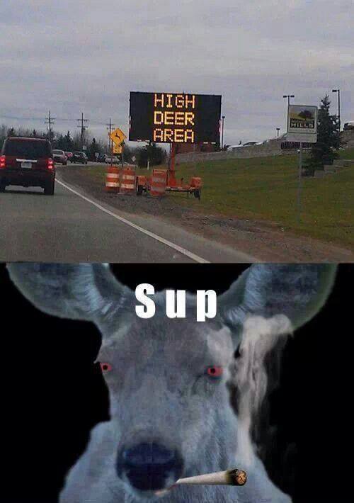 high deer area meme - High Deer Area Hill Sup