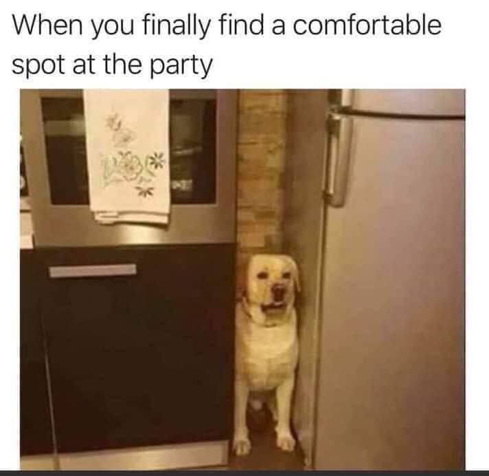 you finally find a comfortable spot - When you finally find a comfortable spot at the party