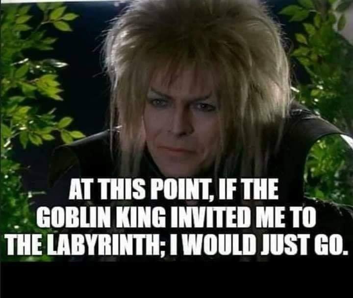 david bowie knows where you - At This Point, If The Goblin King Invited Me To The Labyrinth; I Would Just Go.