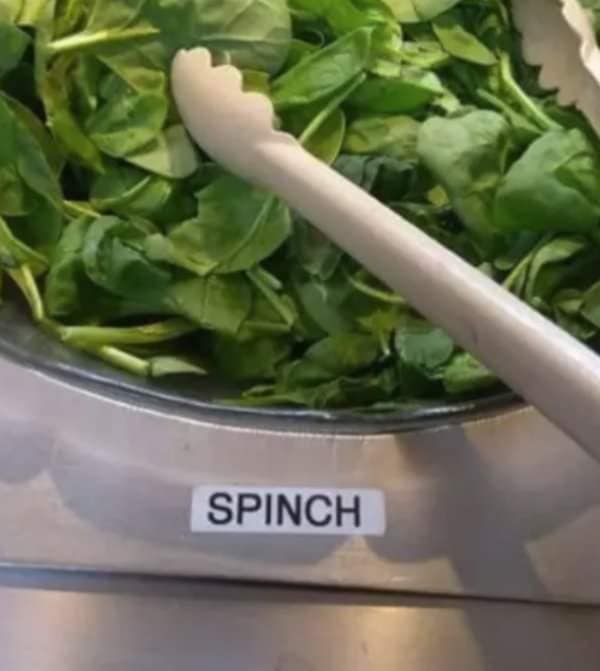 spinch meme - Spinch