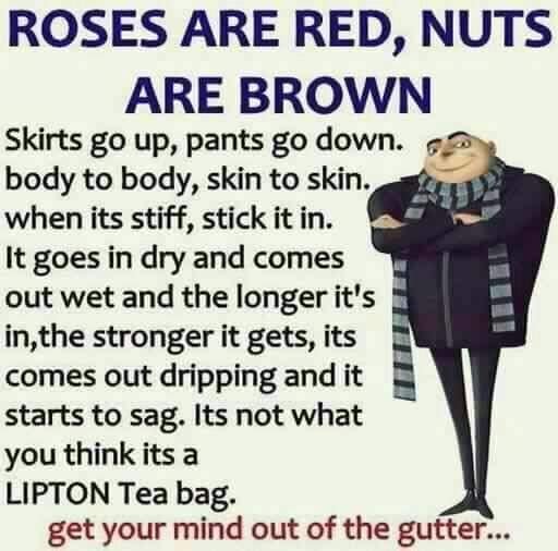 lipton tea bag riddle - Roses Are Red, Nuts Are Brown Skirts go up, pants go down. body to body, skin to skin. when its stiff, stick it in. It goes in dry and comes out wet and the longer it's in the stronger it gets, its comes out dripping and it starts 