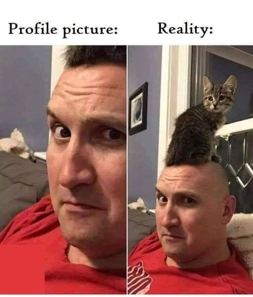 profile pic vs reality - Profile picture Reality 0