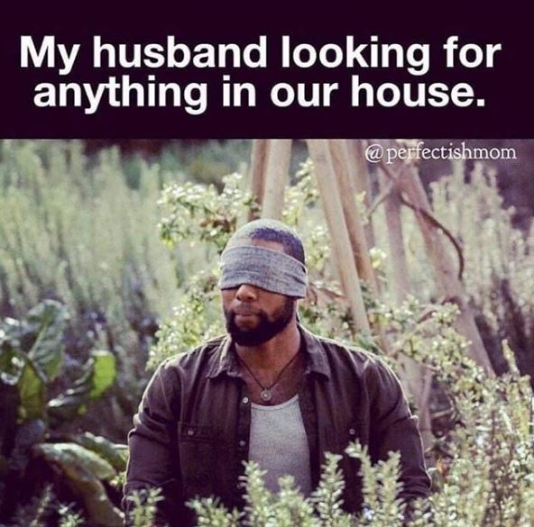 memes mom funny - My husband looking for anything in our house.