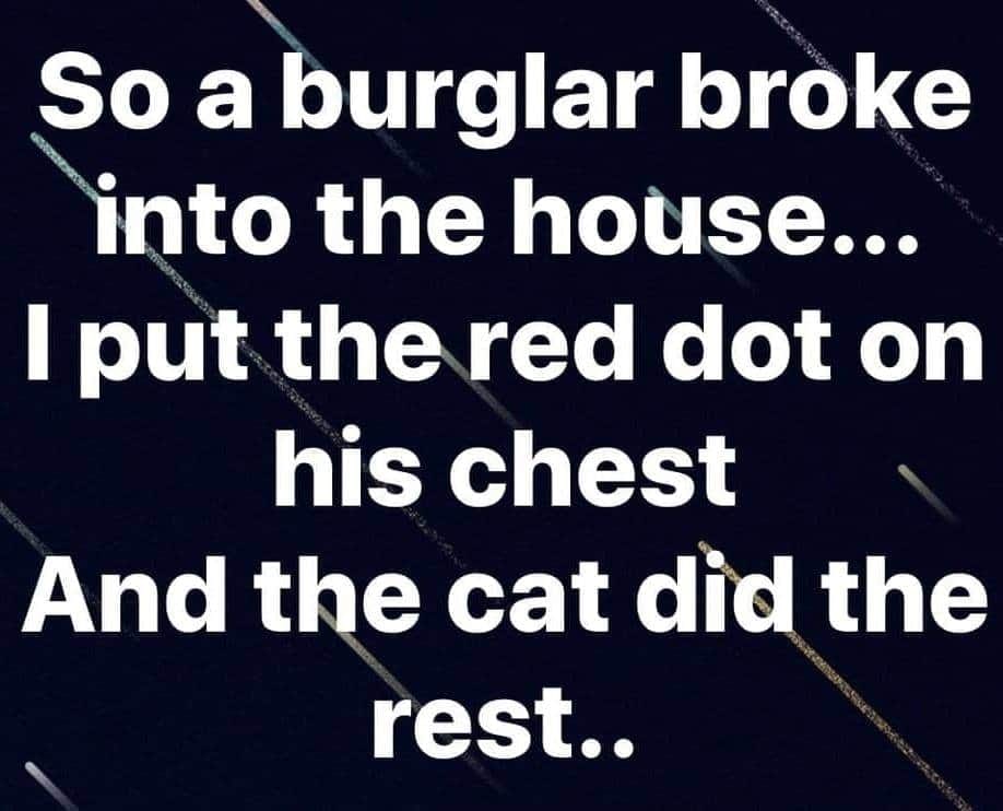 france 3 - So a burglar broke into the house... I put the red dot on his chest And the cat did the rest..