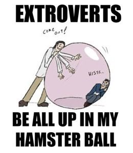 funny extrovert - Extroverts Core "out! Miss Be All Up In My Hamster Ball