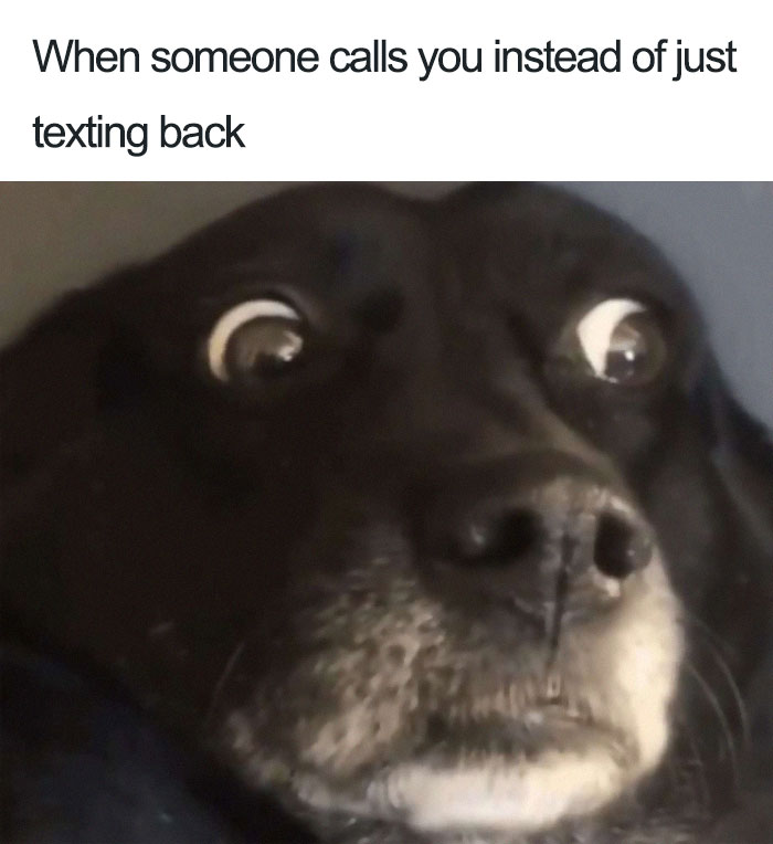 introvert meme funny - When someone calls you instead of just texting back