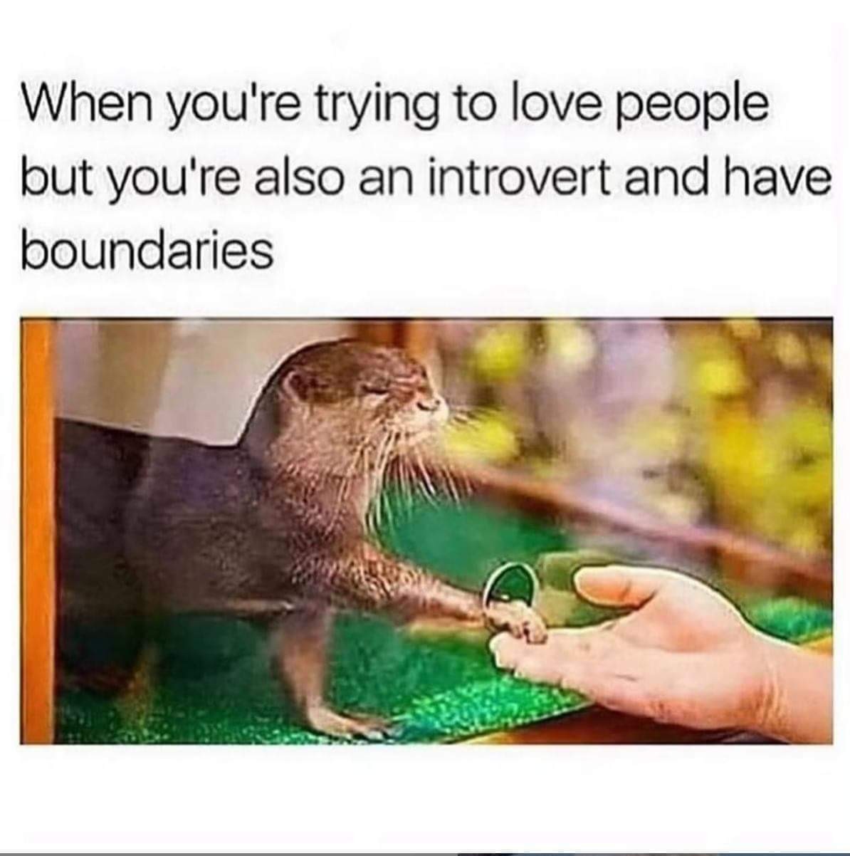 funny introvert memes - When you're trying to love people but you're also an introvert and have boundaries