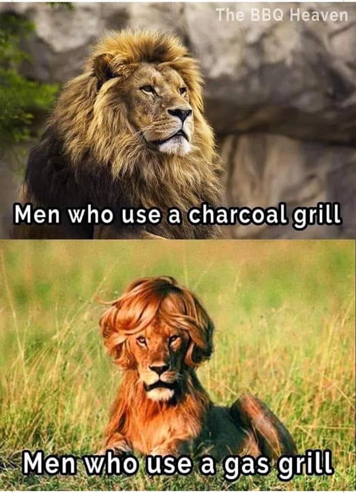 lion king - The Bbq Heaven Men who use a charcoal grill Men who use a gas grill