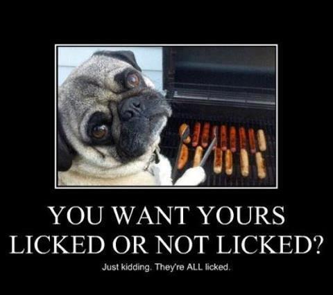 4th of july funny - Jaan You Want Yours Licked Or Not Licked? Just kidding. They're All licked.