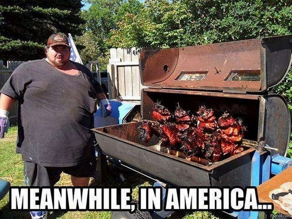 funny bbq - Meanwhile, In America. Pigroll.com