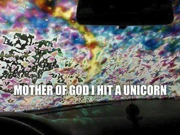 oh dear god i hit a unicorn - pour Mother Of God I Hit A Unicorn