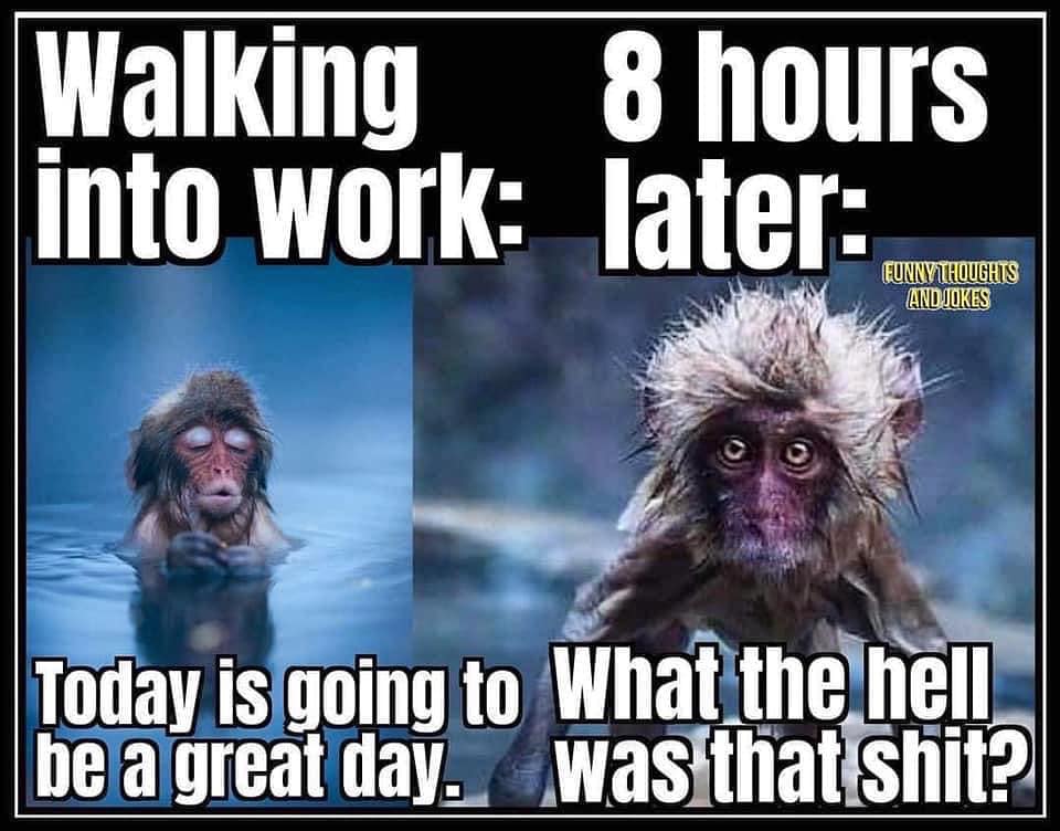walking into work today is going - Walking 8 hours into work later Funny Thoughts And Jokes Today is going to What the hell be a great day. was that shit?