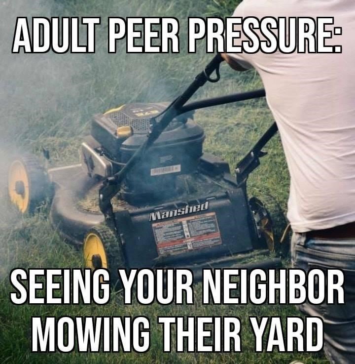adult peer pressure mowing - Adult Peer Pressure Manshed Seeing Your Neighbor Mowing Their Yard