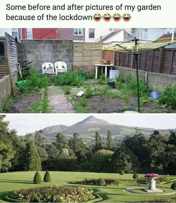 powerscourt gardens - Some before and after pictures of my garden because of the lockdown