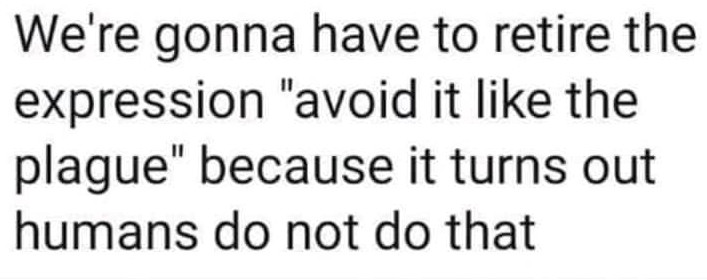 hindi lessons - We're gonna have to retire the expression "avoid it the plague" because it turns out humans do not do that