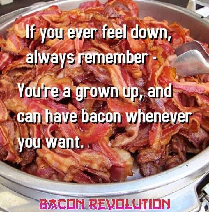 funny bacon memes - If you ever feel down, always remember You're a grown up, and can have bacon whenever you want. Bacon Revolution