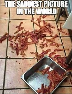 saddest picture in the world bacon - The Saddest Picture In The World