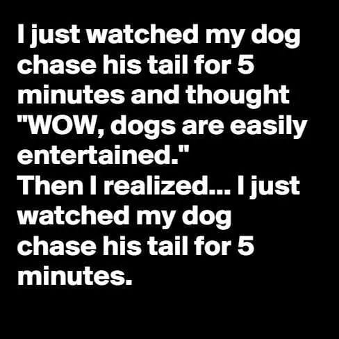 we have three faces - I just watched my dog chase his tail for 5 minutes and thought "Wow, dogs are easily entertained." Then I realized... I just watched my dog chase his tail for 5 minutes.