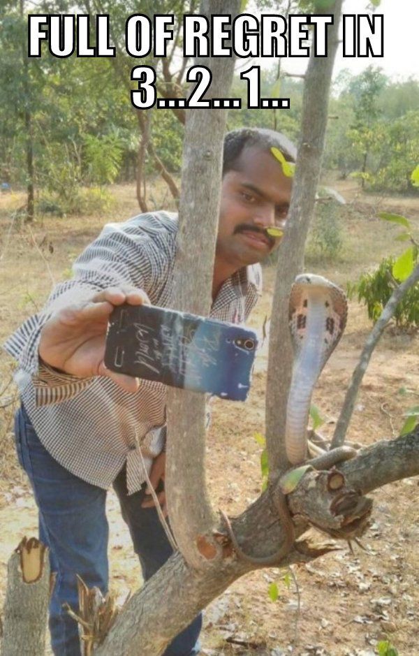 india selfie deaths - Full Of Regret In 3...2...1.. world