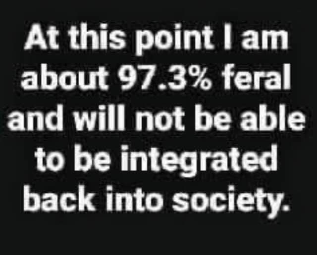 dont give flying fuck - At this point I am about 97.3% feral and will not be able to be integrated back into society.