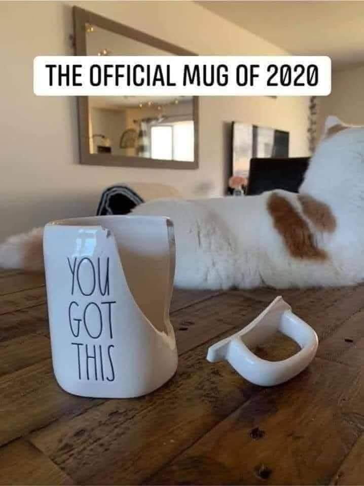 cat - The Official Mug Of 2020 You Got This
