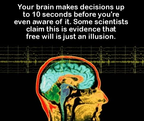 science crazy facts - Your brain makes decisions up to 10 seconds before you're even aware of it. Some scientists claim this is evidence that free will is just an illusion.