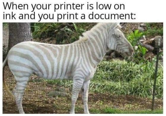 animals you ve never seen before - When your printer is low on ink and you print a document