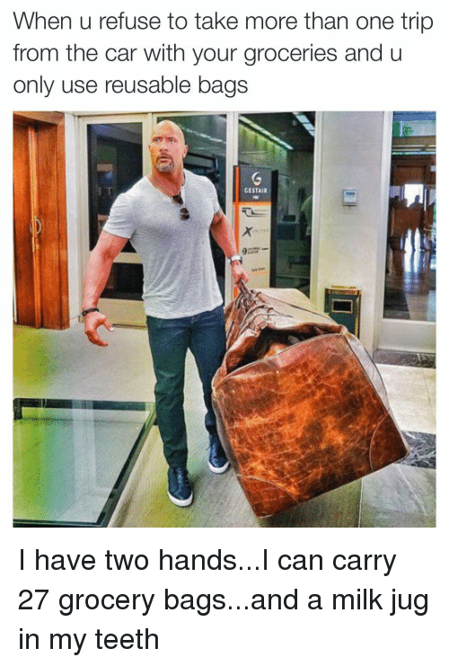 rock bag meme - When u refuse to take more than one trip from the car with your groceries and u only use reusable bags G It Gestar I have two hands...I can carry 27 grocery bags...and a milk jug in my teeth