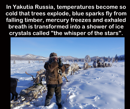 winter - In Yakutia Russia, temperatures become so cold that trees explode, blue sparks fly from falling timber, mercury freezes and exhaled breath is transformed into a shower of ice crystals called "the whisper of the stars".