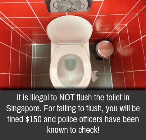 illegal things in singapore - It is illegal to Not flush the toilet in Singapore. For failing to flush, you will be fined $150 and police officers have been known to check!