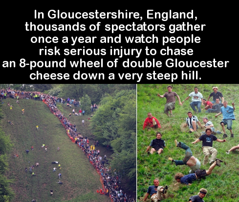 grass - In Gloucestershire, England, thousands of spectators gather once a year and watch people risk serious injury to chase an 8pound wheel of double Gloucester cheese down a very steep hill.