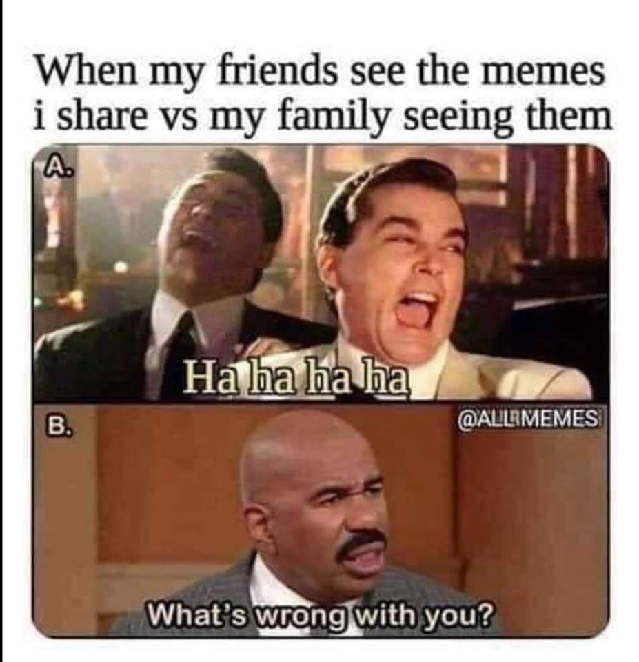 two reactions to my sense of humor - When my friends see the memes i vs my family seeing them A. Ha ha ha ha B. Memes What's wrong with you?